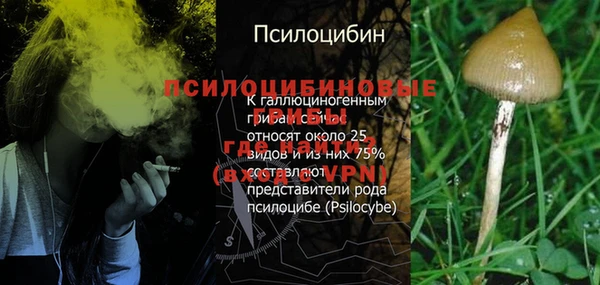 экстази Инта